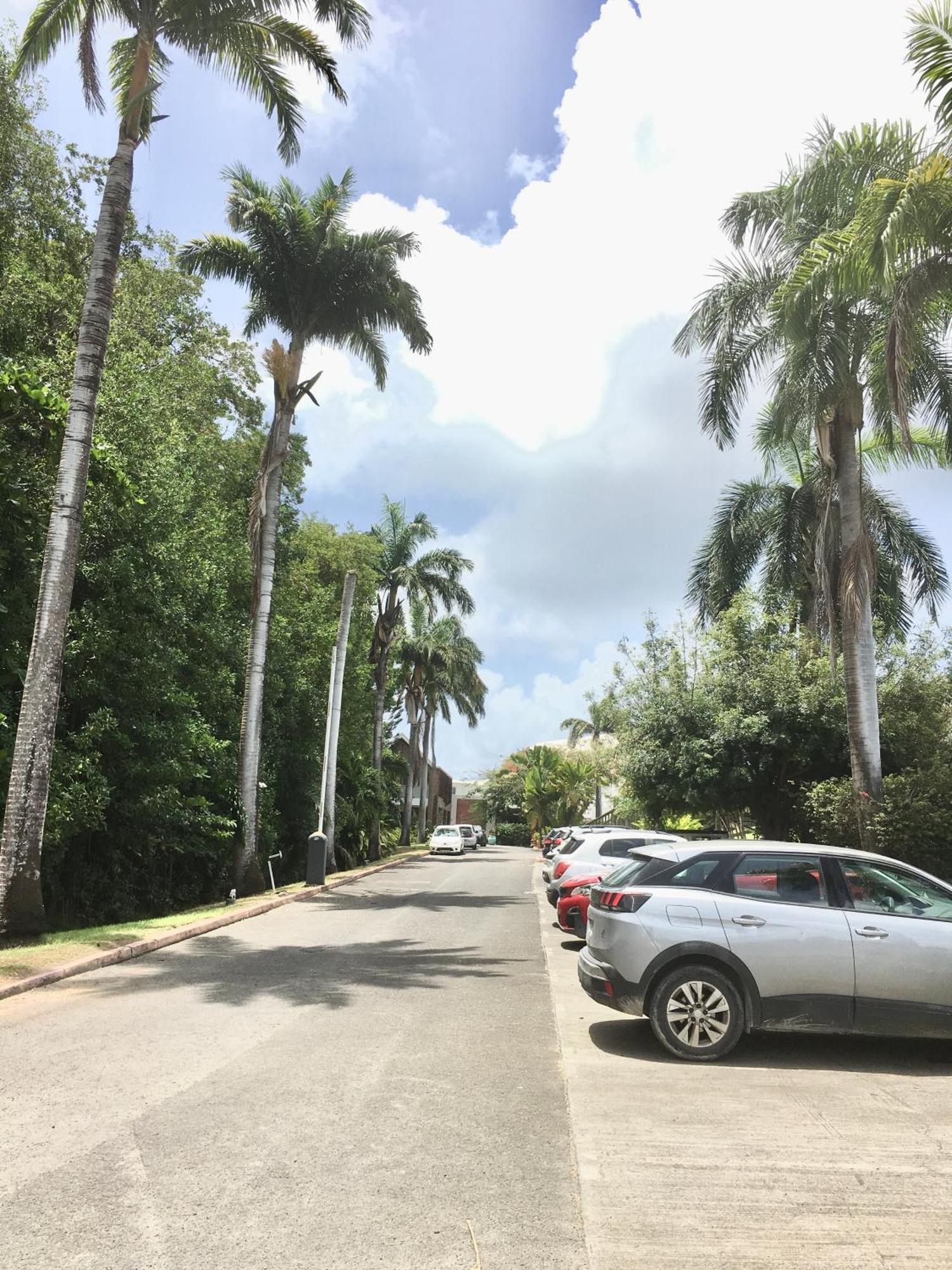 Appartement St Francois Manganao Guadeloupe سانت فرانسوا المظهر الخارجي الصورة