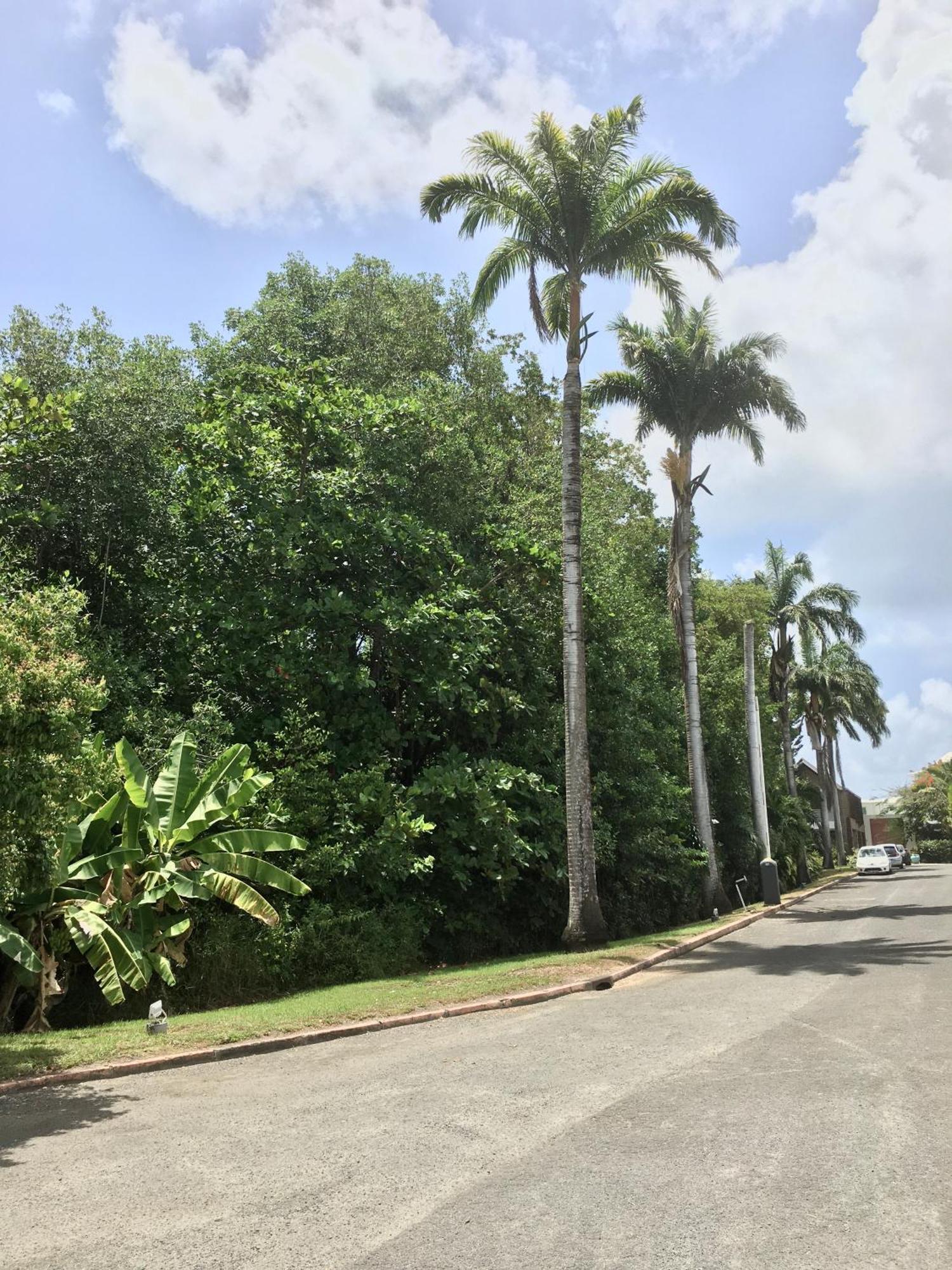 Appartement St Francois Manganao Guadeloupe سانت فرانسوا المظهر الخارجي الصورة